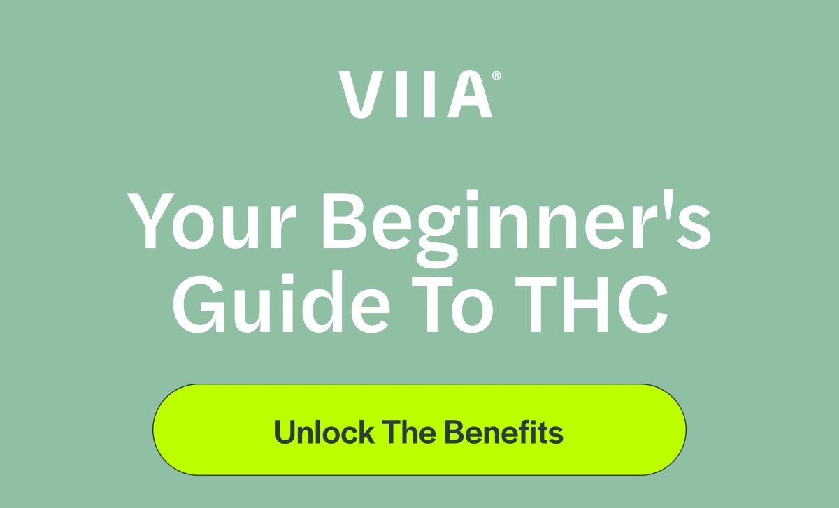 Your Beginner's Guide To THC [Unlock The Benefits]