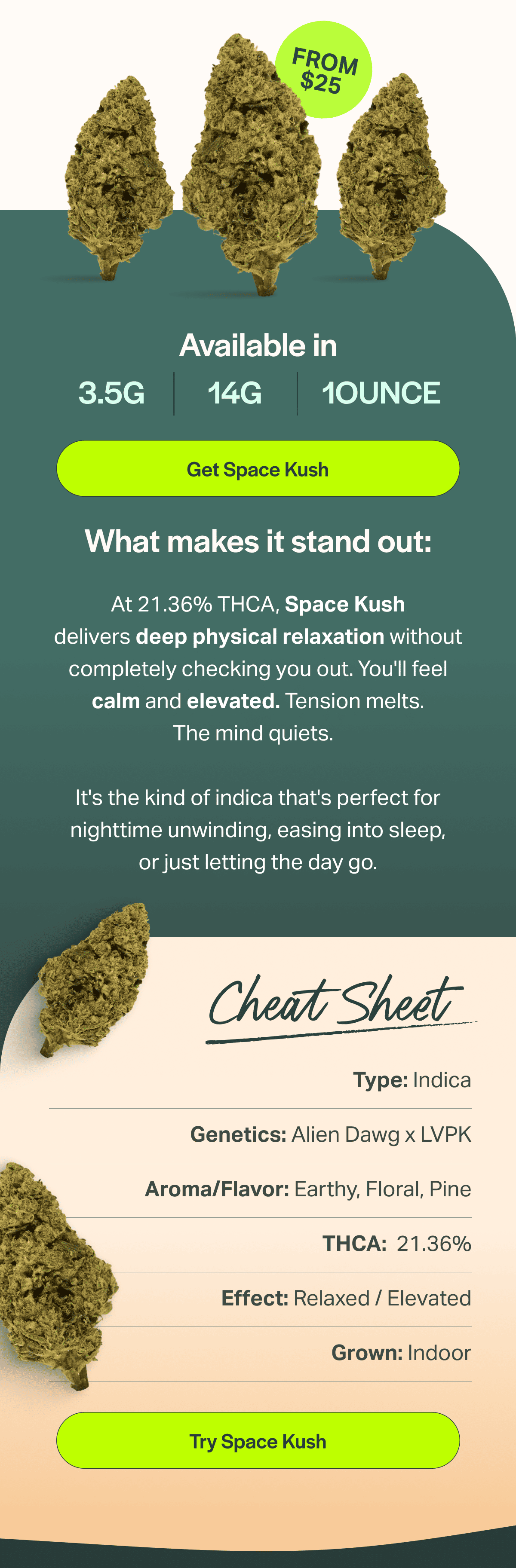 At 21.36% THCA, Space Kush delivers deep physical relaxation without completely checking you out. You'll feel calm and elevated. Tension melts. The mind quiets.   It's the kind of indica that's perfect for nighttime unwinding, easing into sleep, or just letting the day go.