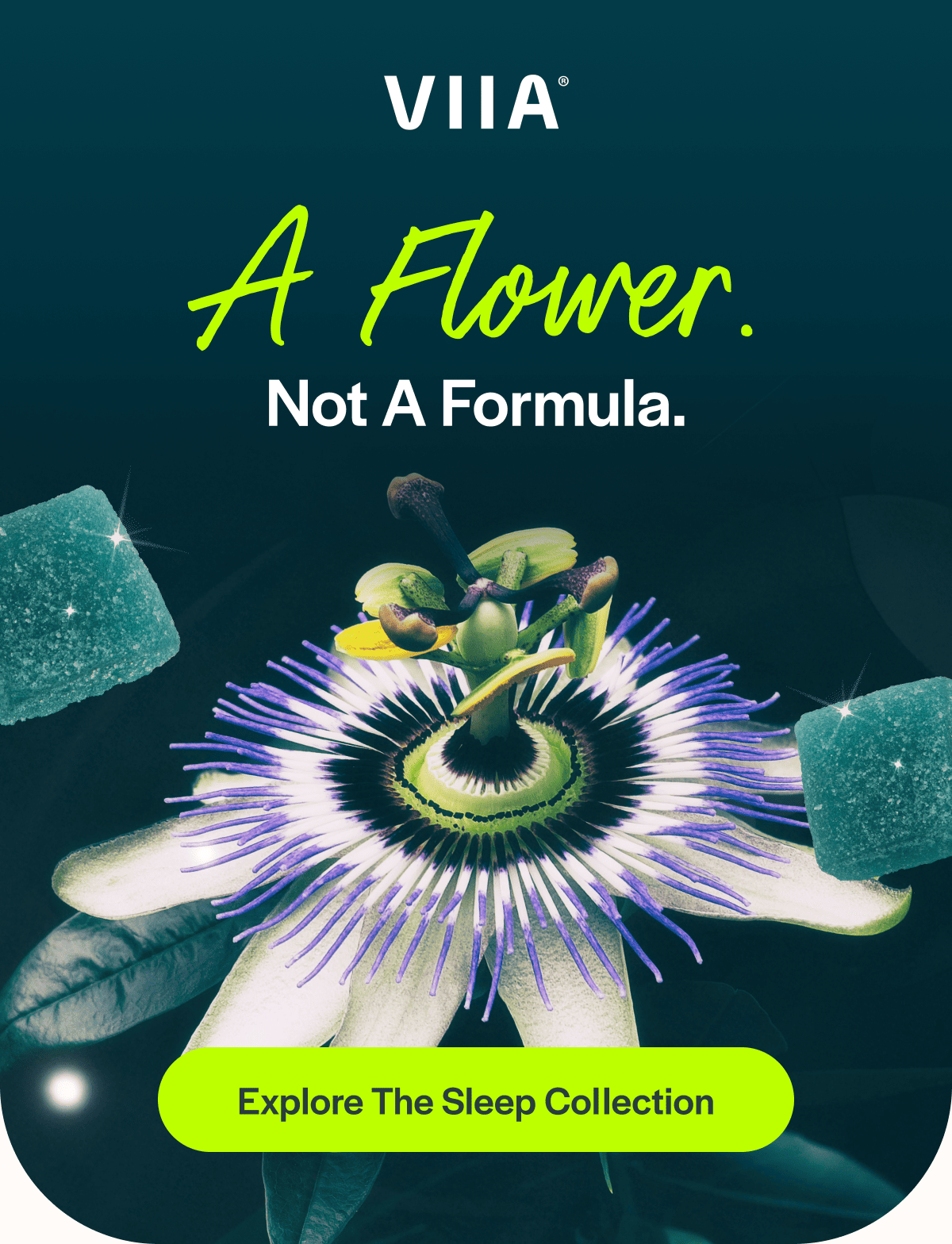 A Flower. Not a Formula.