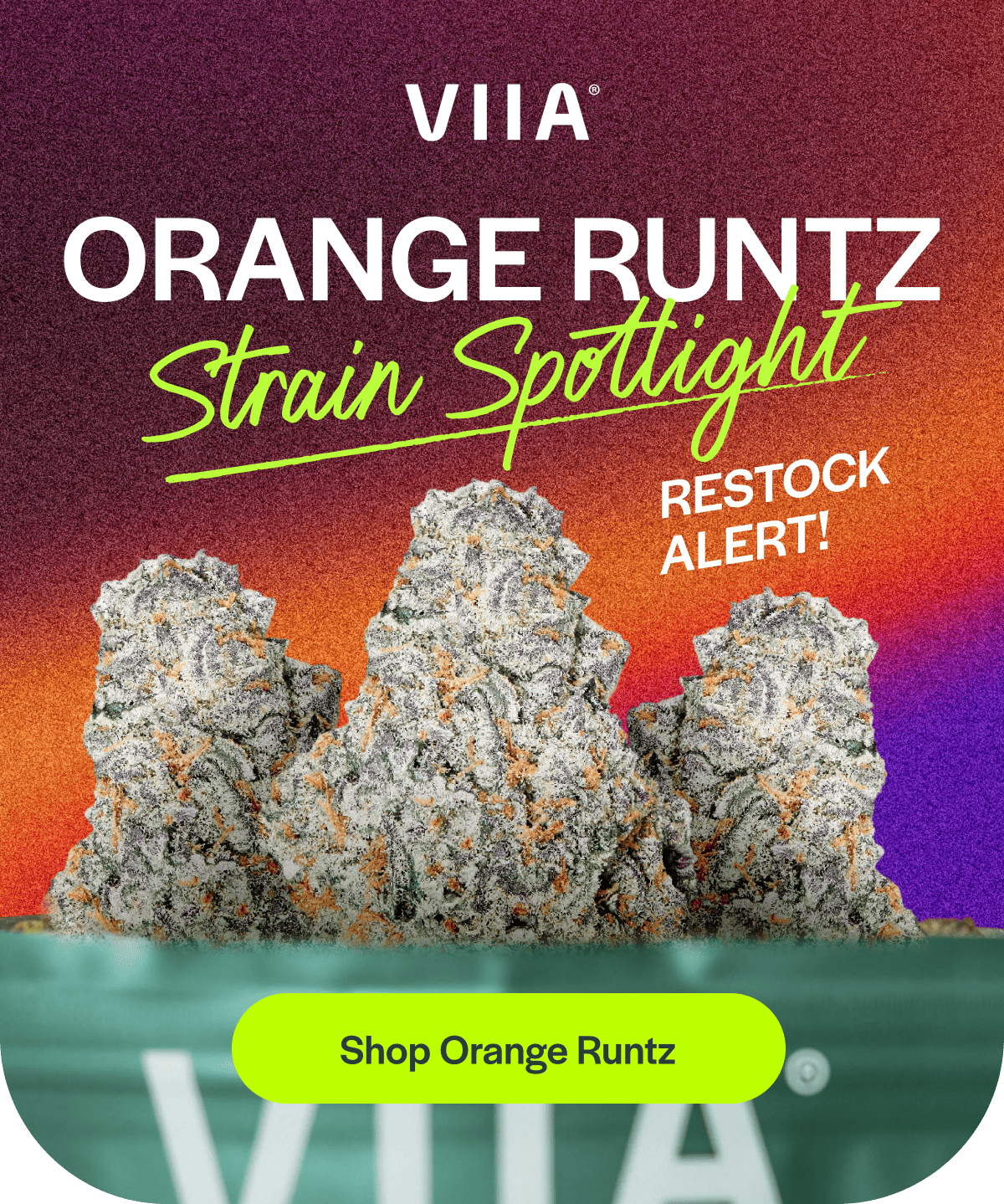 ORANGE RUNTZ 