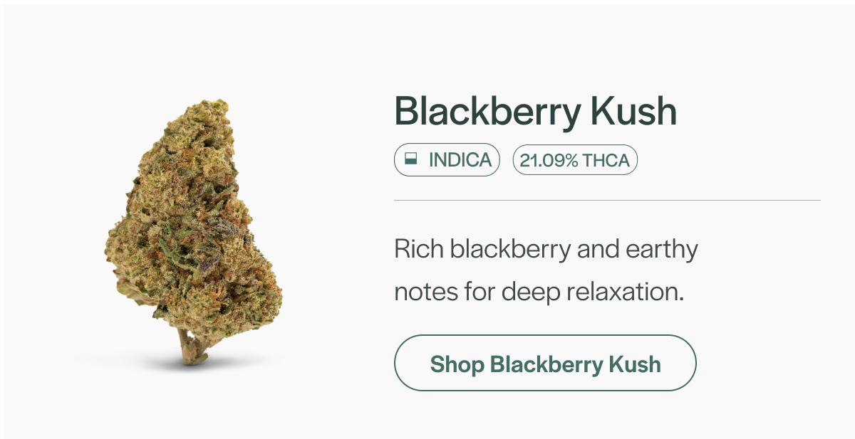 Blackberry Kush - Indica