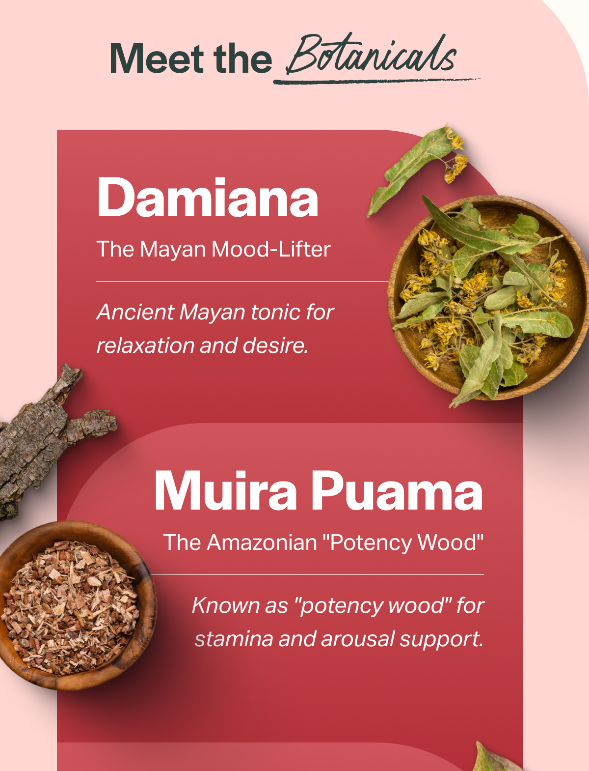 Meet the Botanicals Damiana The Mayan Mood-Lifter Ancient Mayan tonic for relaxation and desire. Muira Puama The Amazonian "Potency Wood" Known as "potency wood" for stamina and arousal support.