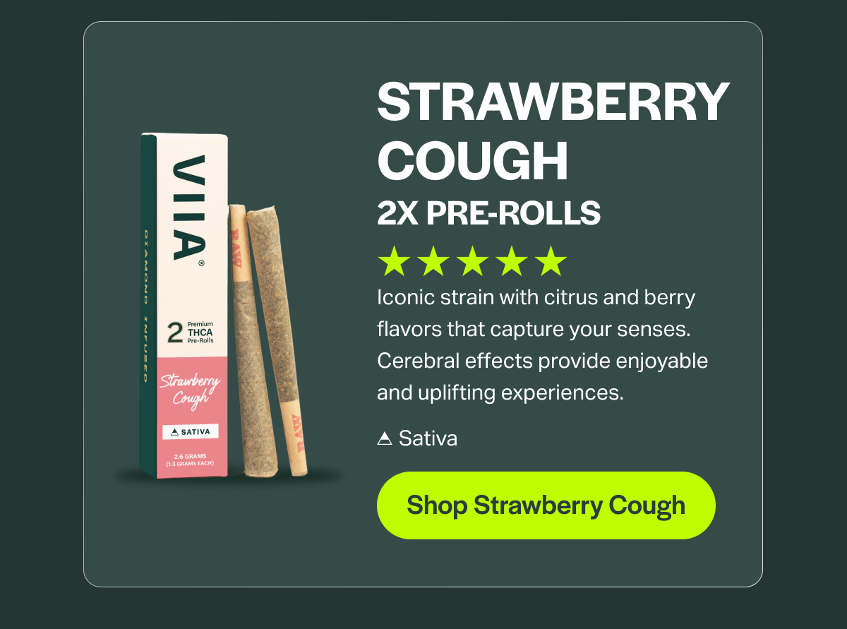 STRAWBERRY COUGH 2X PRE-ROLLS Iconic strain with citrus and berry flavors that capture your senses. Cerebral effects provide enjoyable and uplifting experiences. Sativa [Shop Strawberry Cough]