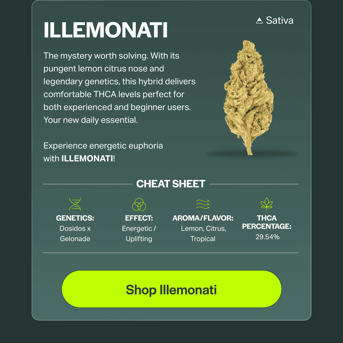 The mystery worth solving. With its pungent lemon citrus nose and legendary genetics, this hybrid delivers comfortable THCA levels perfect for both experienced and beginner users. Your new daily essential.  Experience energetic euphoria with ILLEMONATI!