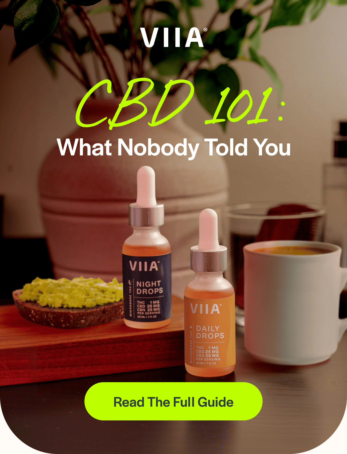 CBD 101: What Nobody Told You