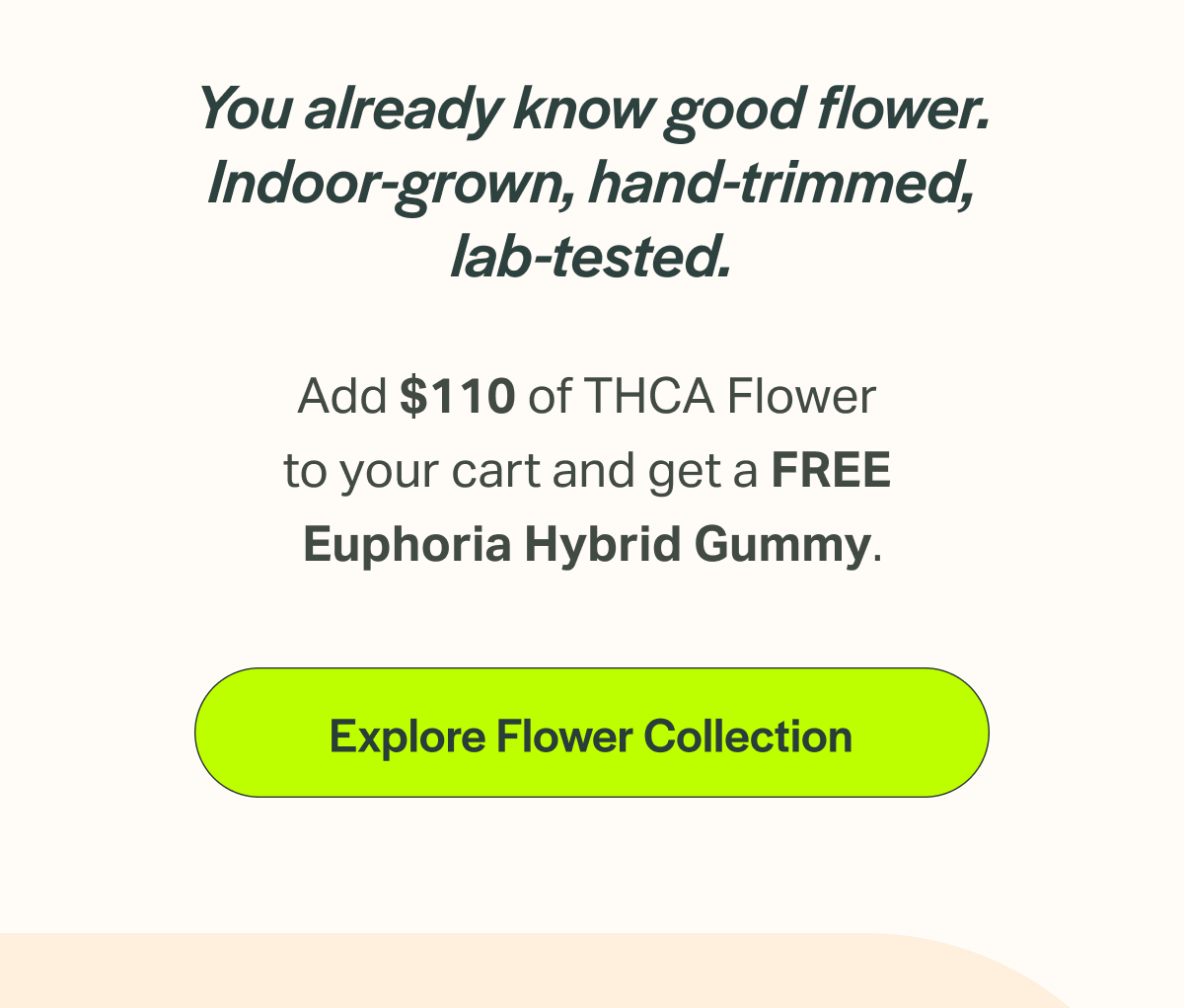 [Explore Flower Collection]