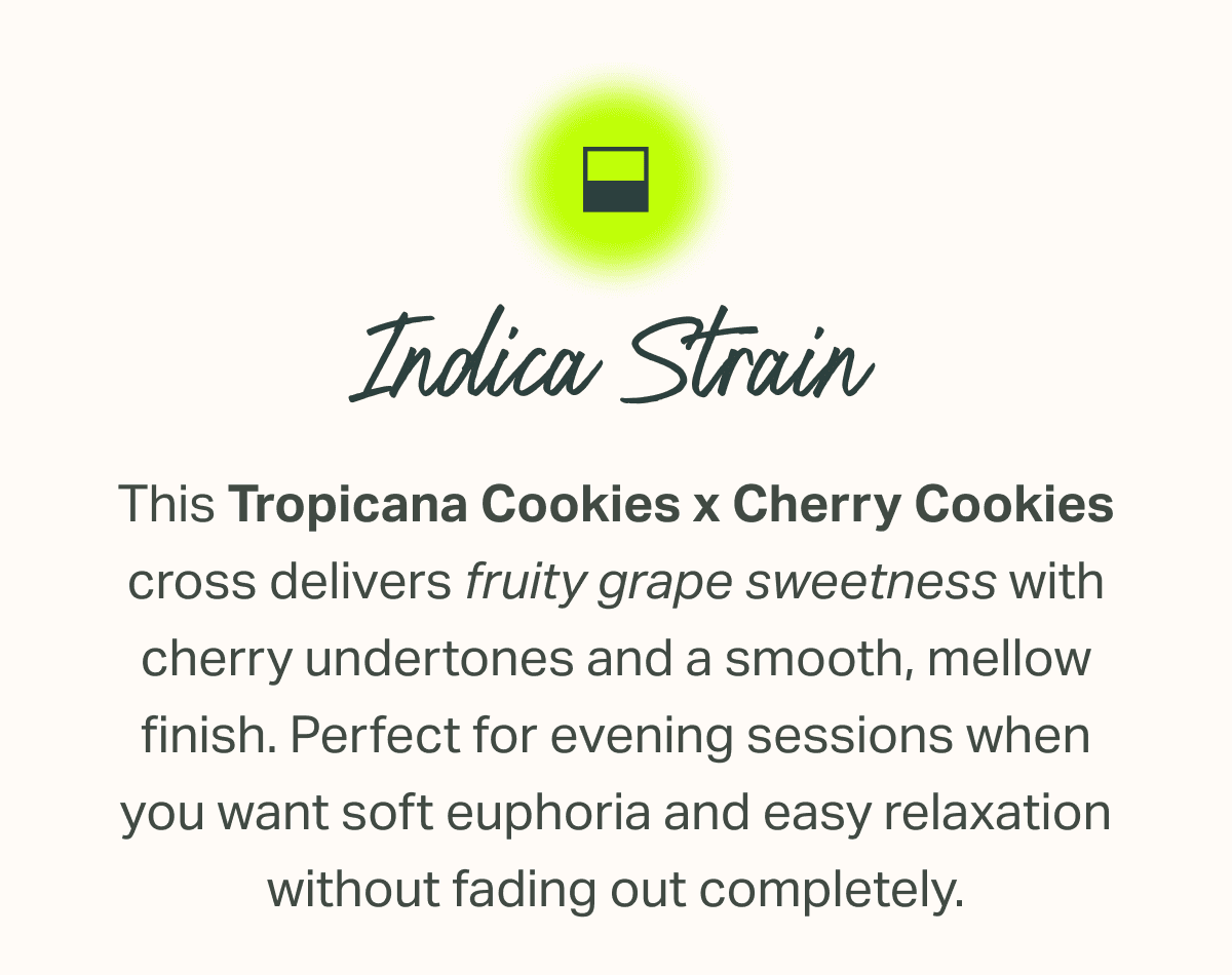 This Tropicana Cookies x Cherry Cookies cross delivers fruity grape sweetness with cherry undertones and a smooth, mellow finish. Perfect for evening sessions when you want soft euphoria and easy relaxation without fading out completely.