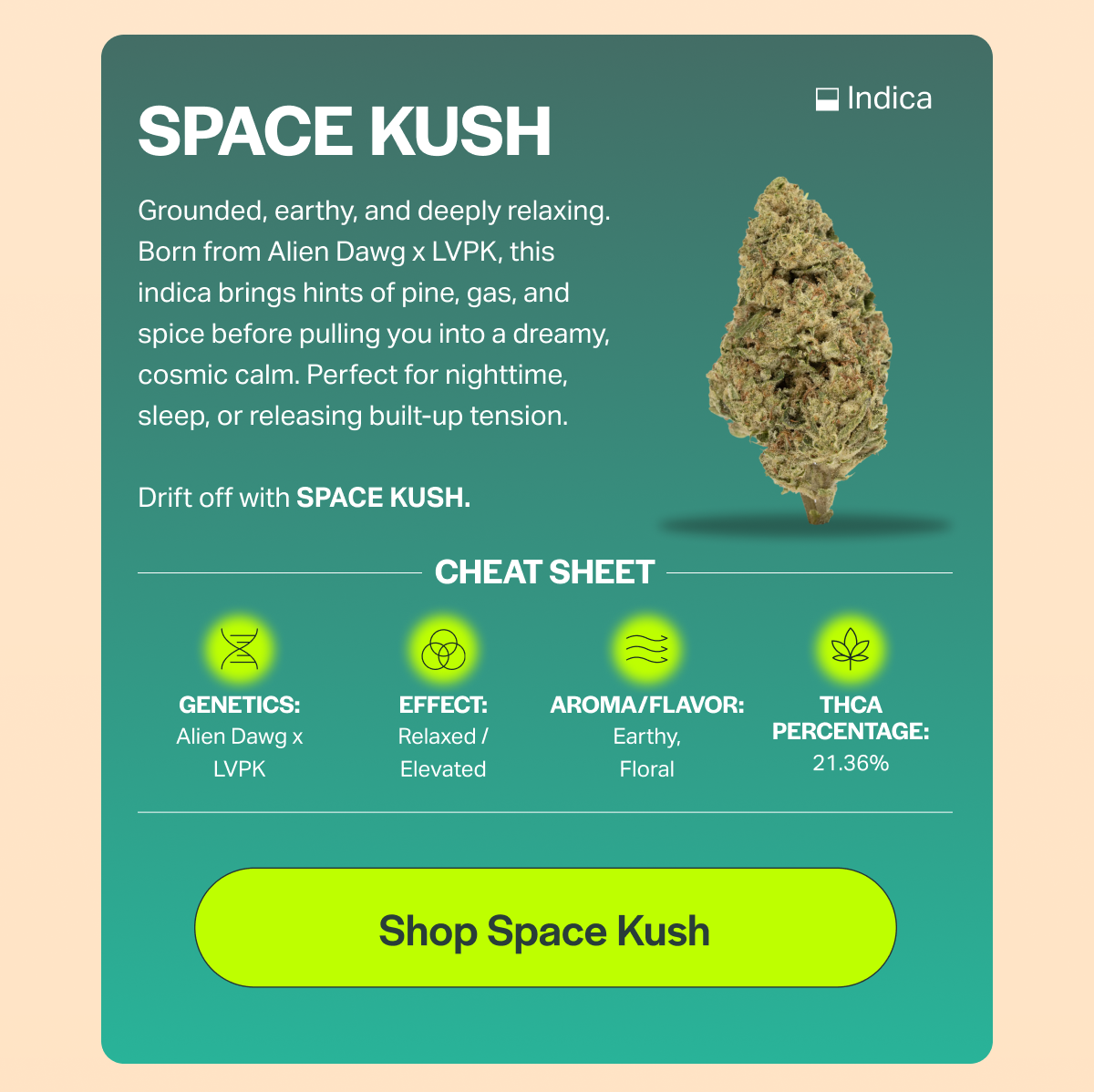 SPACE KUSH Grounded, earthy, and deeply relaxing. Born from Alien Dawg × LVPK, this indica brings hints of pine, gas, and spice before pulling you into a dreamy, cosmic calm. Perfect for nighttime, sleep, or releasing built-up tension. Drift off with SPACE KUSH. CHEAT SHEET GENETICS: Alien Dawg x LVPK EFFECT: Relaxed / Elevated AROMA/FLAVOR: Earthy, Floral [Shop Space Kush] • Indica THCA PERCENTAGE: 21.36%