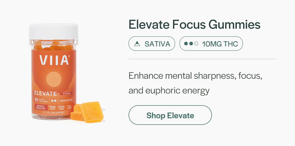Elevate Focus Gummies