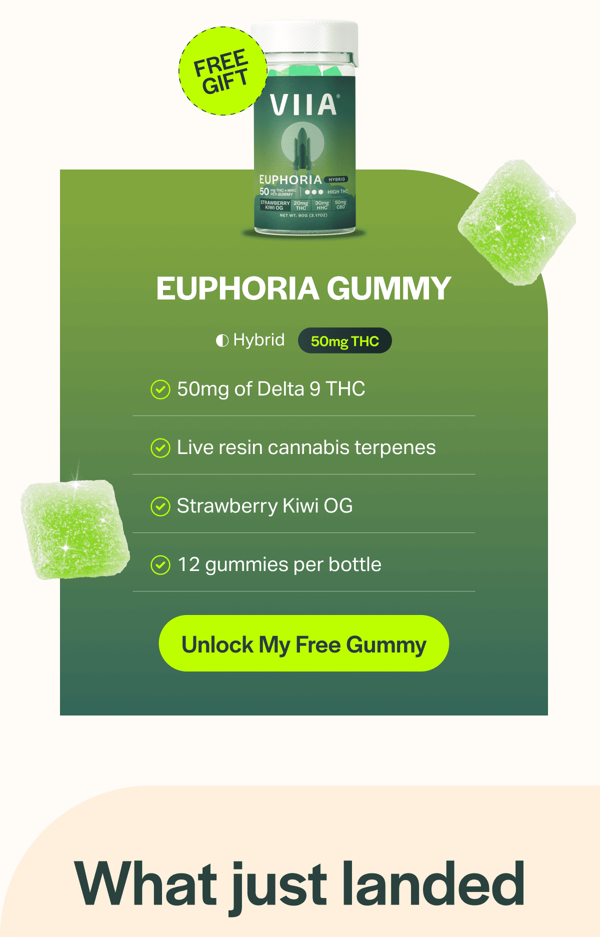 Euphoria Gummy