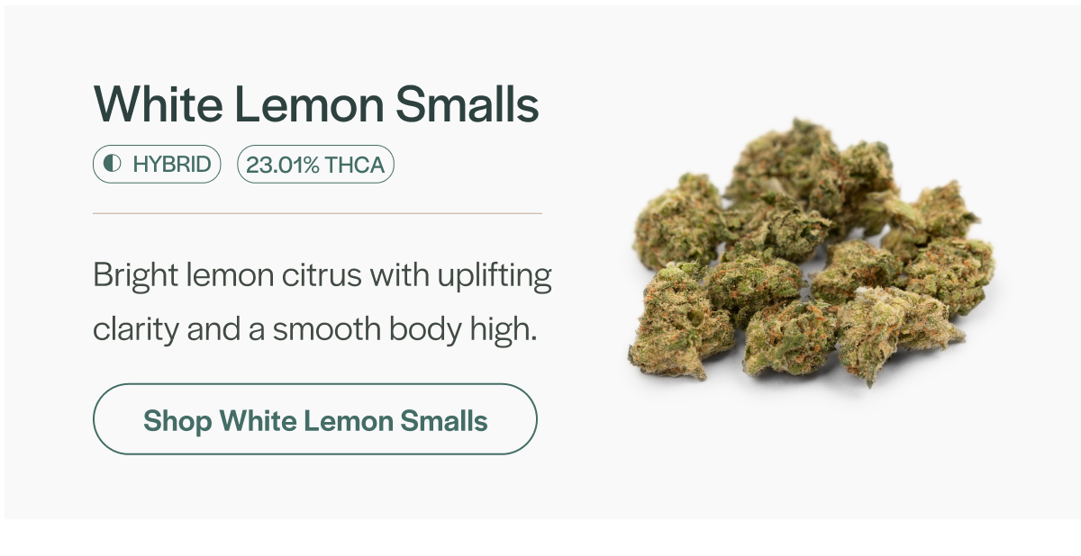White Lemon Smalls - Hybrid