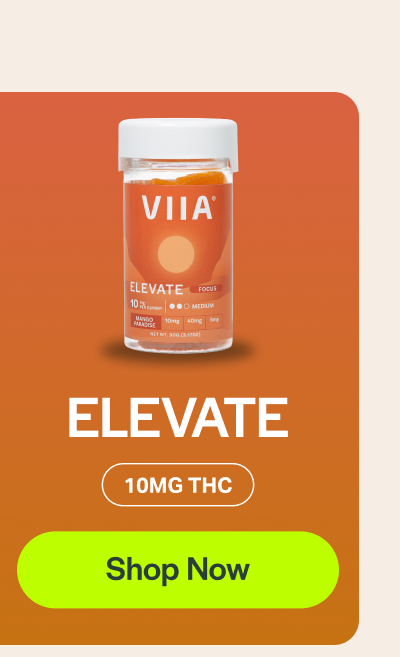 ELEVATE 10MG THC [Shop Now]