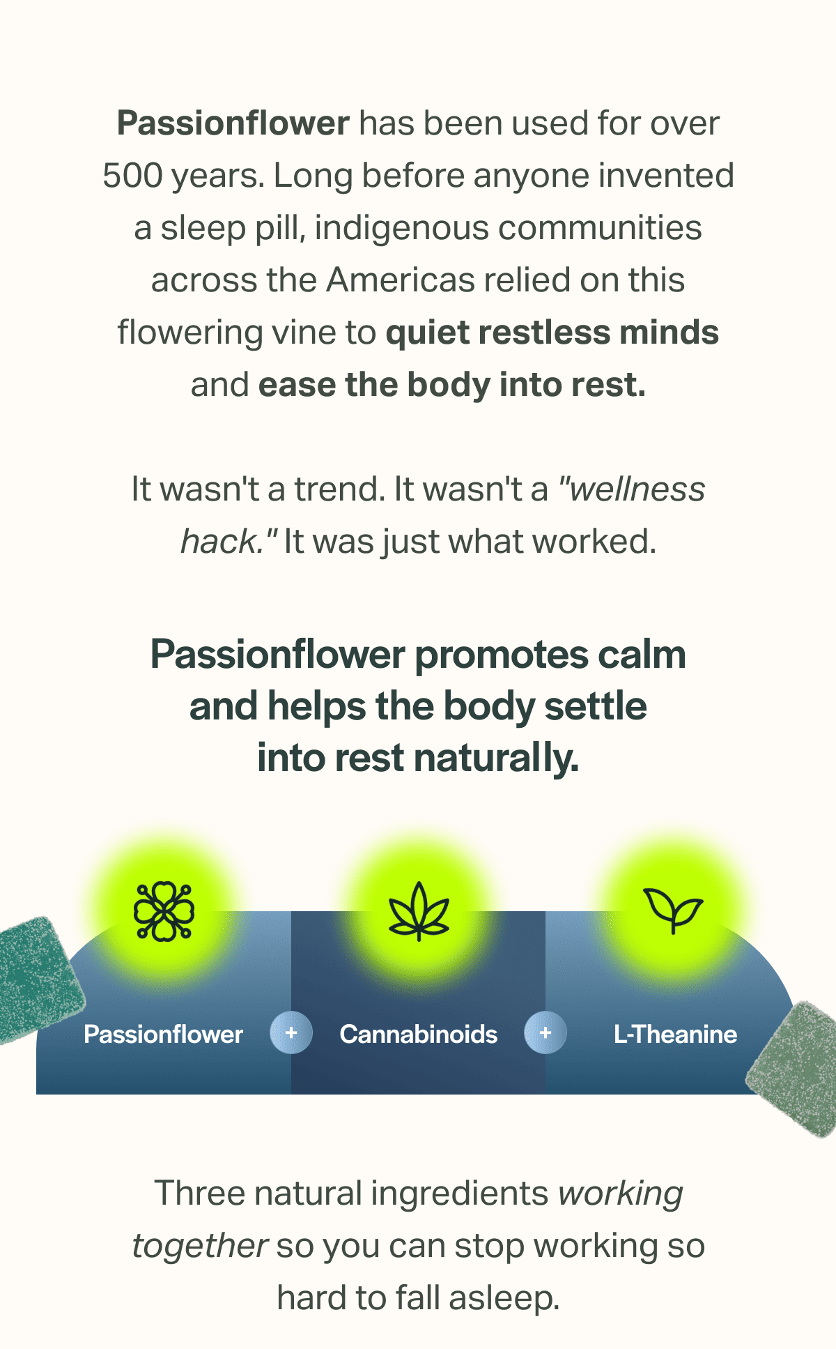 Passionflower promotes calm and helps the body settle into rest naturally.