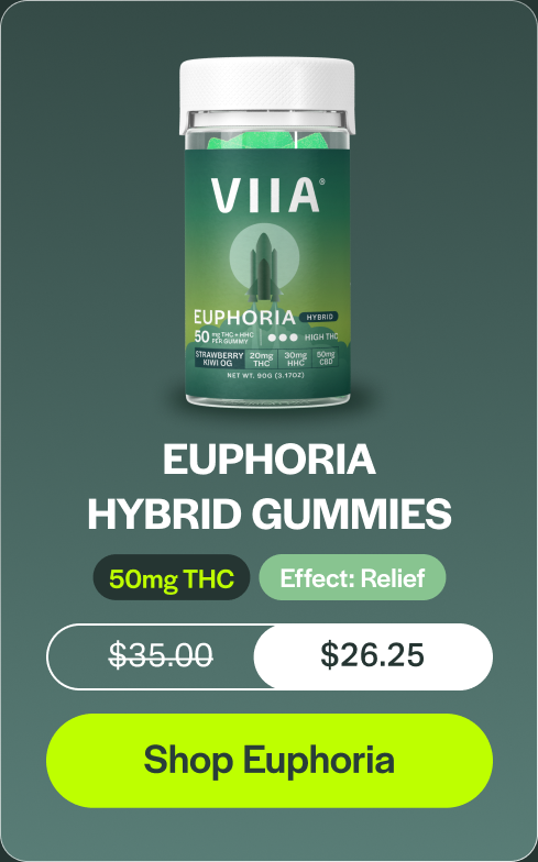 Euphoria Hybrid Gummies