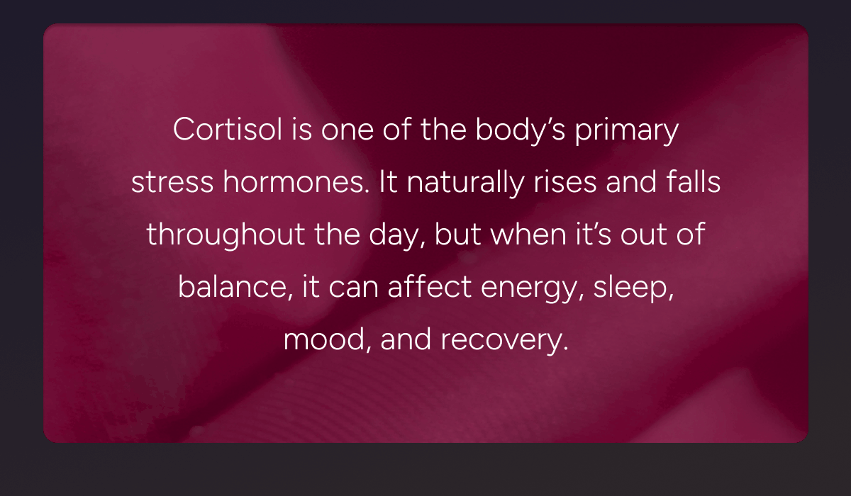 Cortisol is one of the body’s primary stress hormones. It naturally rises and falls throughout the day, but when it’s out of balance, it can affect energy, sleep, mood, and recovery.