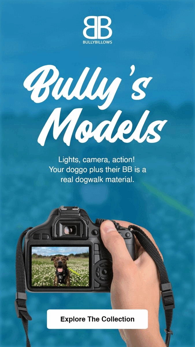 🥰 Bully's furry models Bully Billows