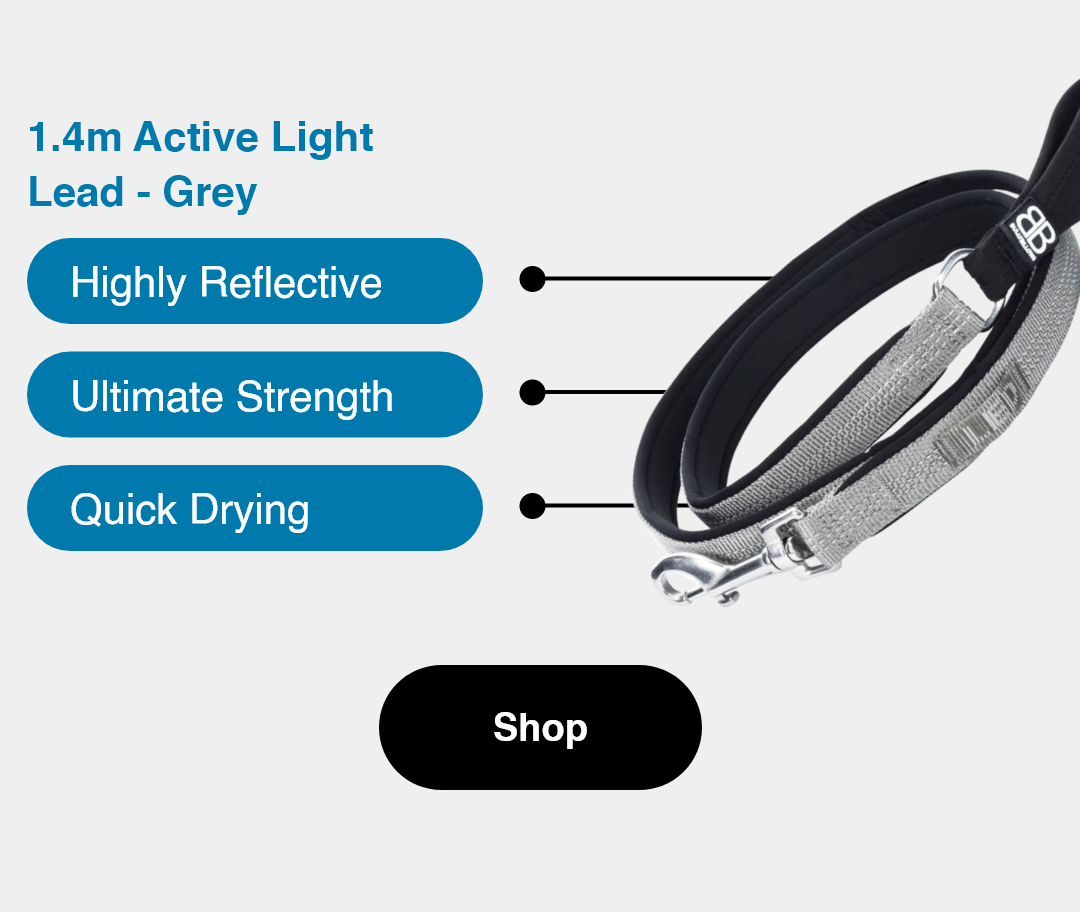 Is Vacuum Time Horror Time for your bestie? Bully Billows