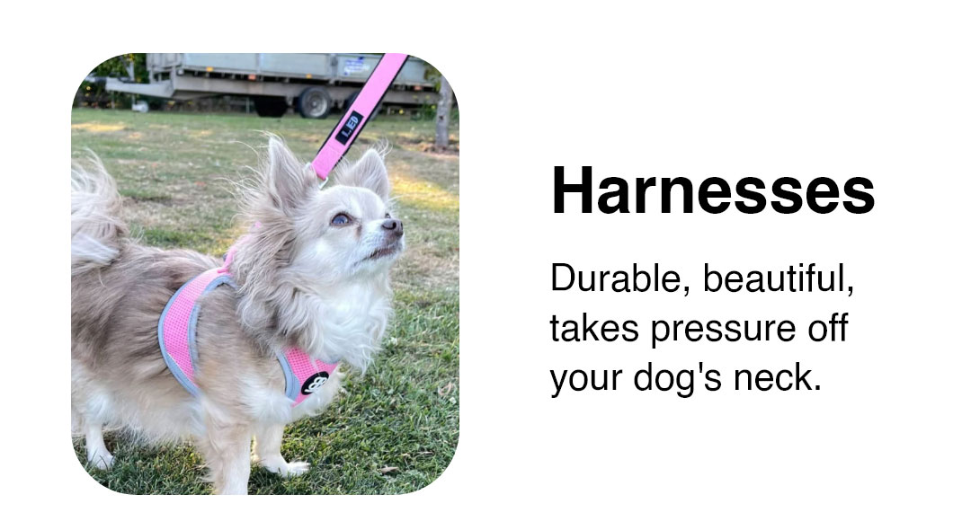 Harnesses