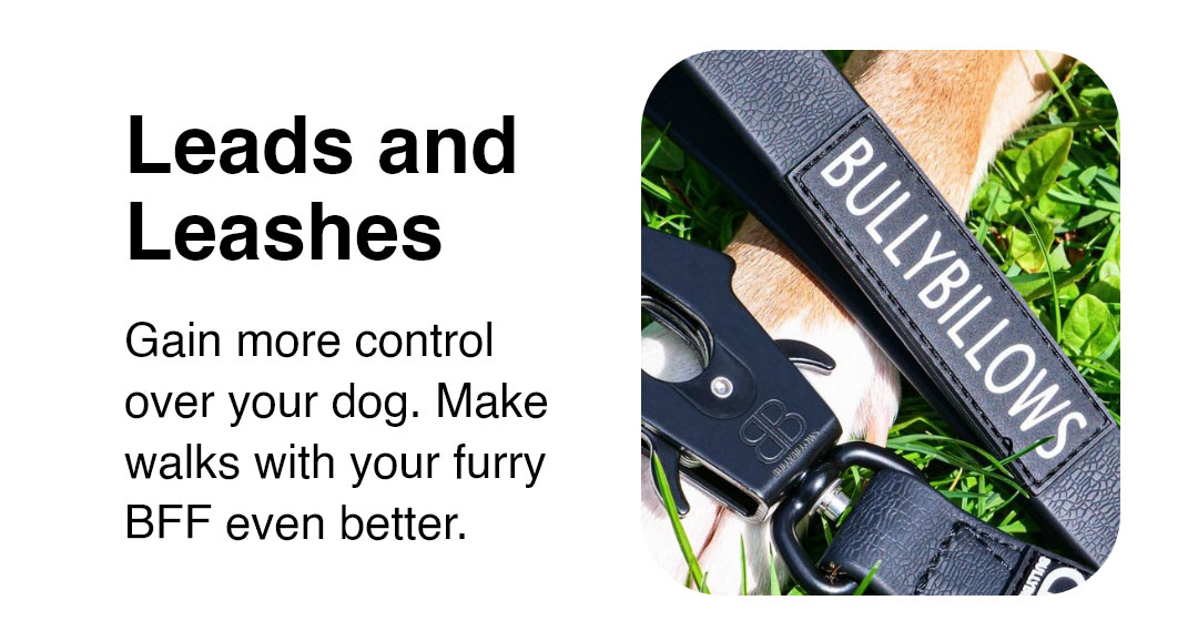 Leads and Leashes