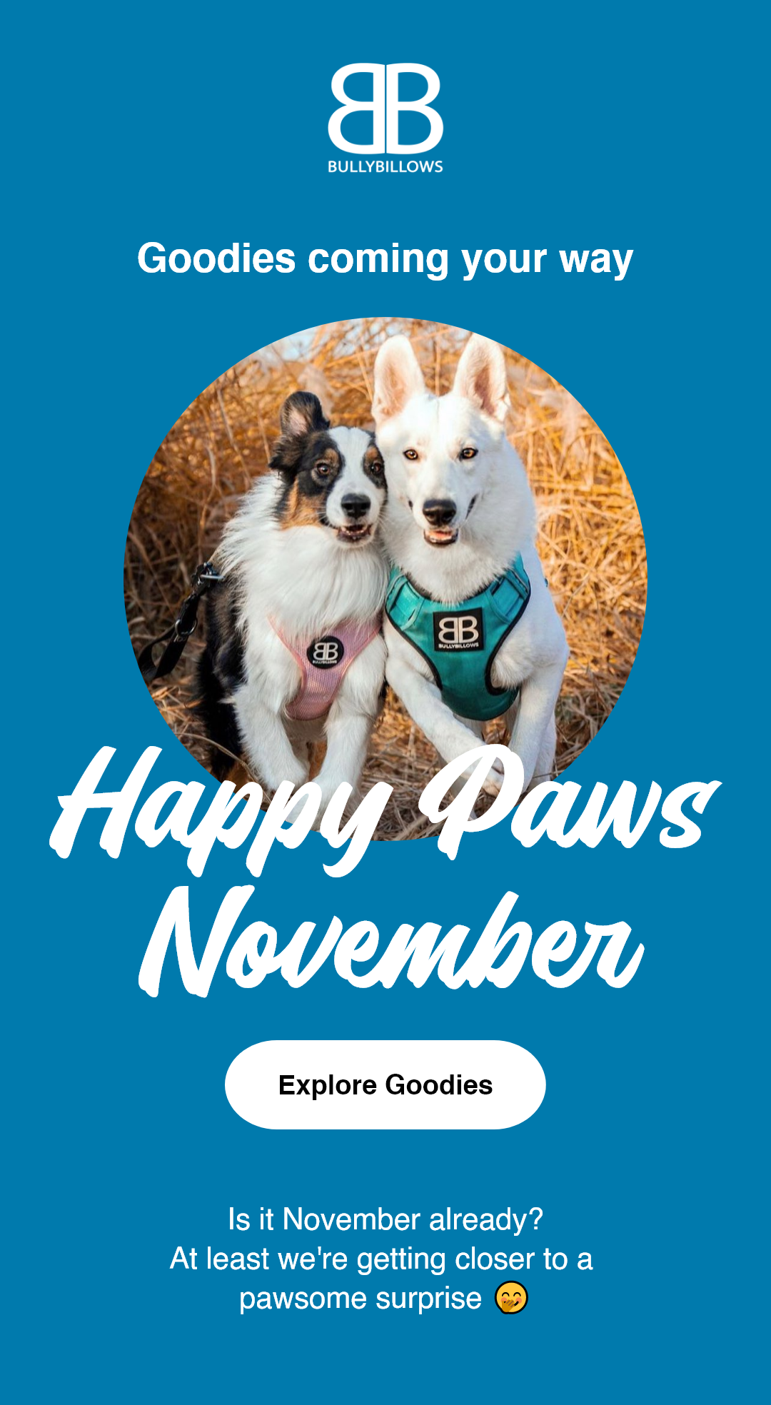 🙌 Jump on November's bandwagon Bully Billows