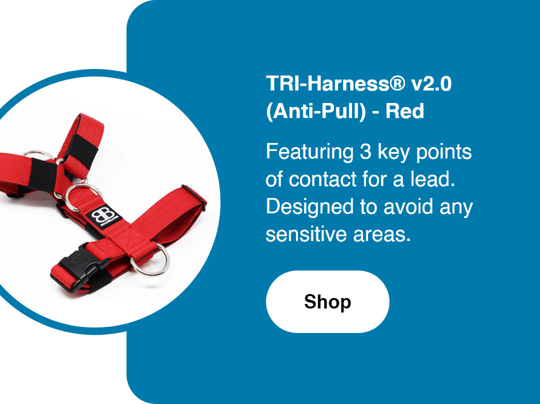 🙌 Jump on November's bandwagon Bully Billows