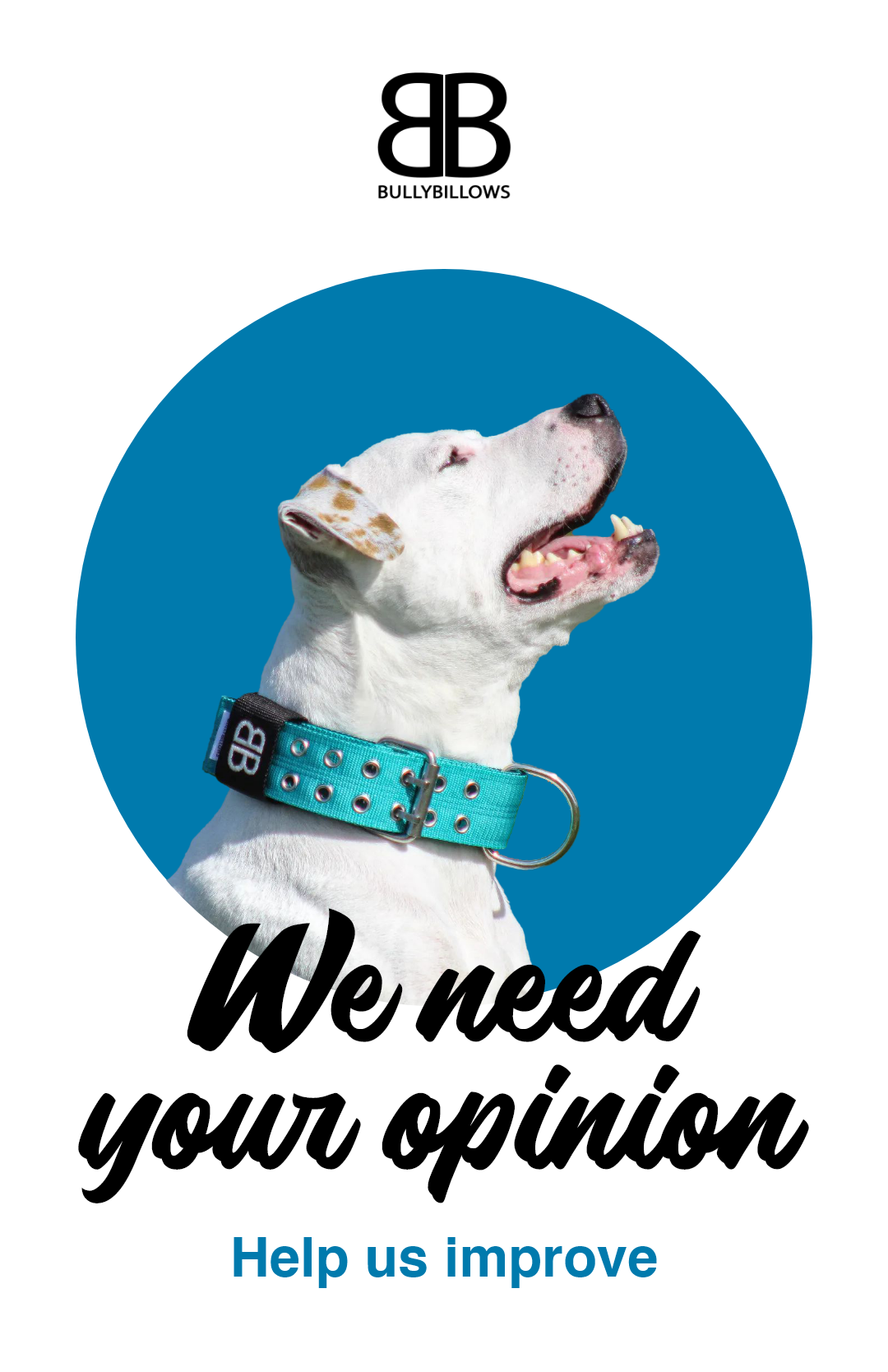 🙌Bully Billows, we need your opinion! Bully Billows