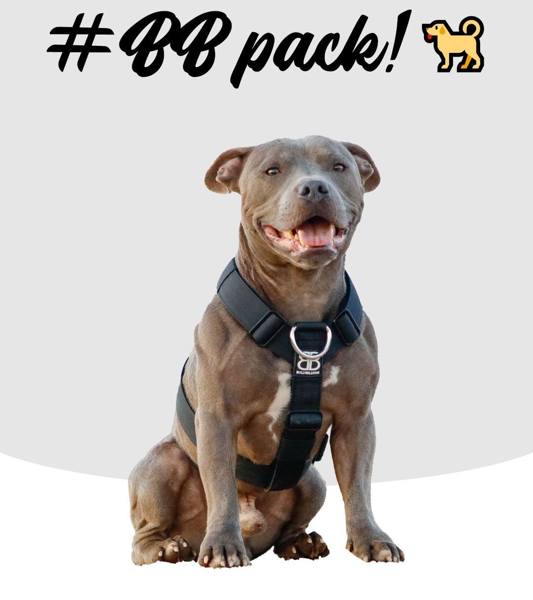 #BB pack!