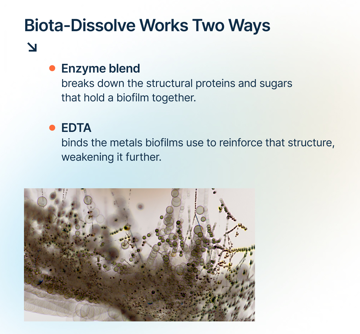 Biota-Dissolve Works Two Way