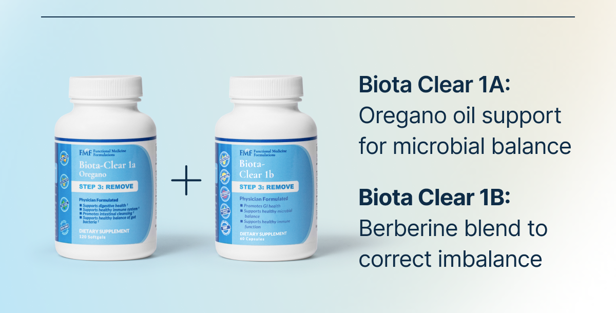 Biota 1A + Biota 1B