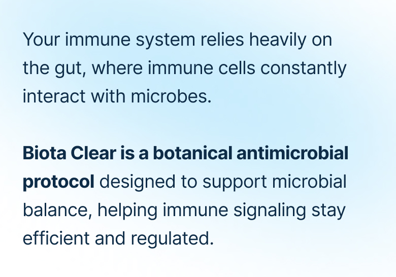 Your immune system relies heavily on the gut, where immune cells constantly interact with microbes. Biota Clear is a botanical antimicrobial protocol designed to support microbial balance, helping immune signaling stay efficient and regulated.