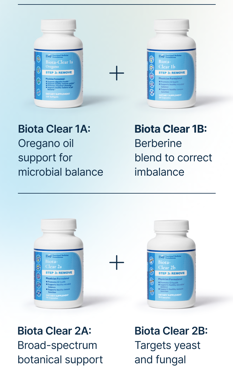 Biota 1A + Biota 1B