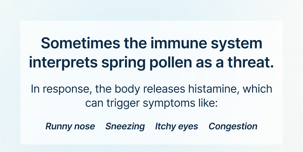 These Are Our Best Sellers For A Reason