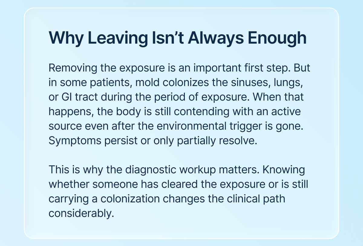 Why Leaving Isn’t Always Enough