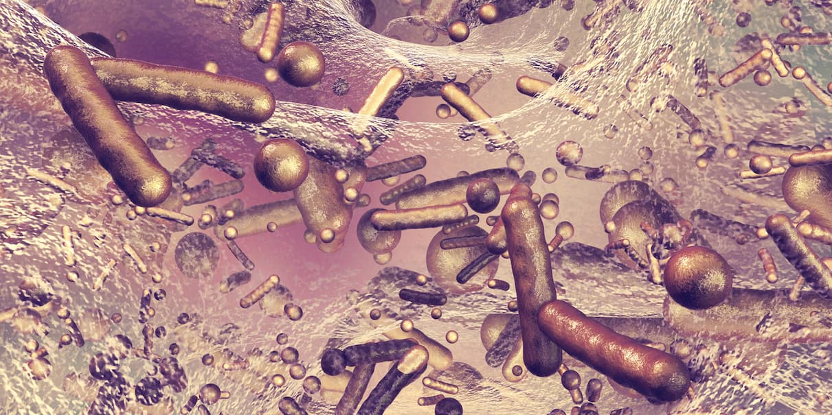 Image with link to read the article titled "SIBO Biofilm Explained: Symptoms, Causes, and a Treatment Protocol"