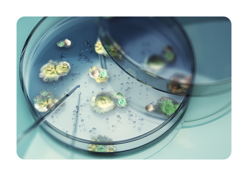 The question isn’t whether mold affects the body, it’s where it can linger.