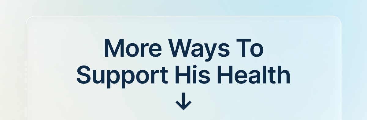 More Ways To Support His Health