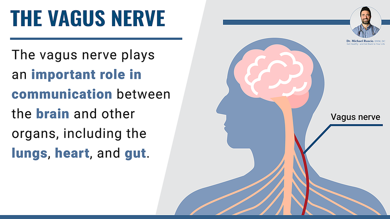 Feature image with link to read the article: What Is Vagus Nerve Stimulation and How Can You Practice It?