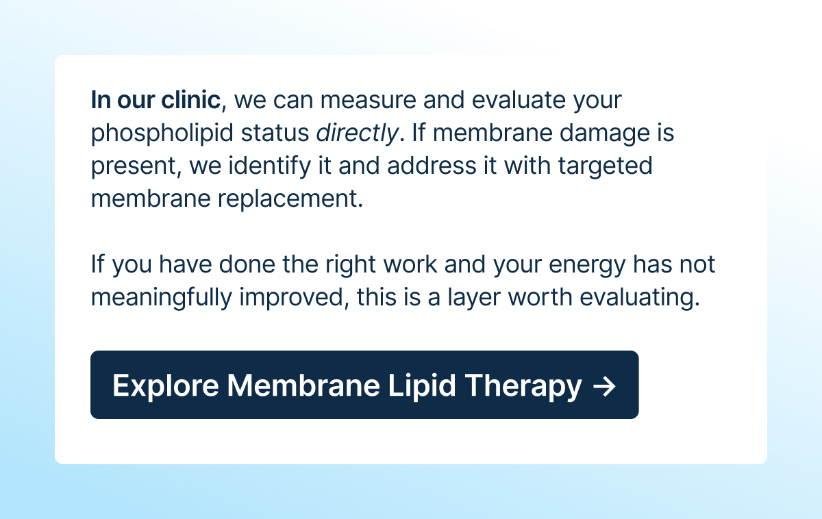 In our clinic, we can measure and evaluate your phospholipid status directly. If membrane damage is present, we identify it and address it with targeted membrane replacement.