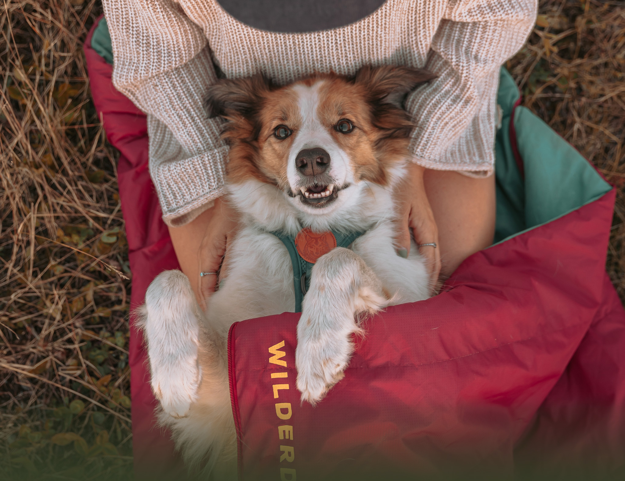 Sleeping Bag Dog Sleeping Pad Benepaw Comfortable Dog Sleeping Bag