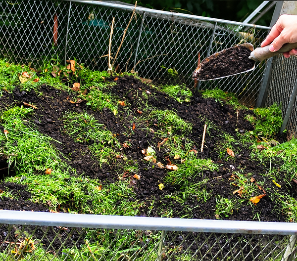 Laub und Gartenreste im Kompost