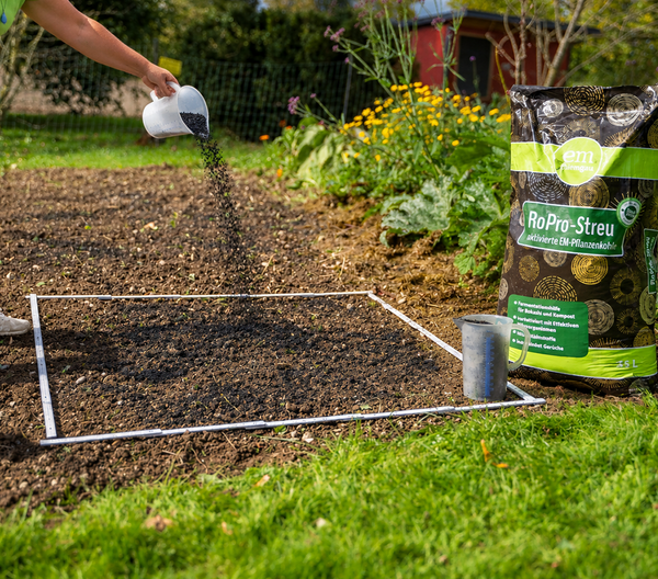 Abgeerntetes Gartenbeet im Herbst