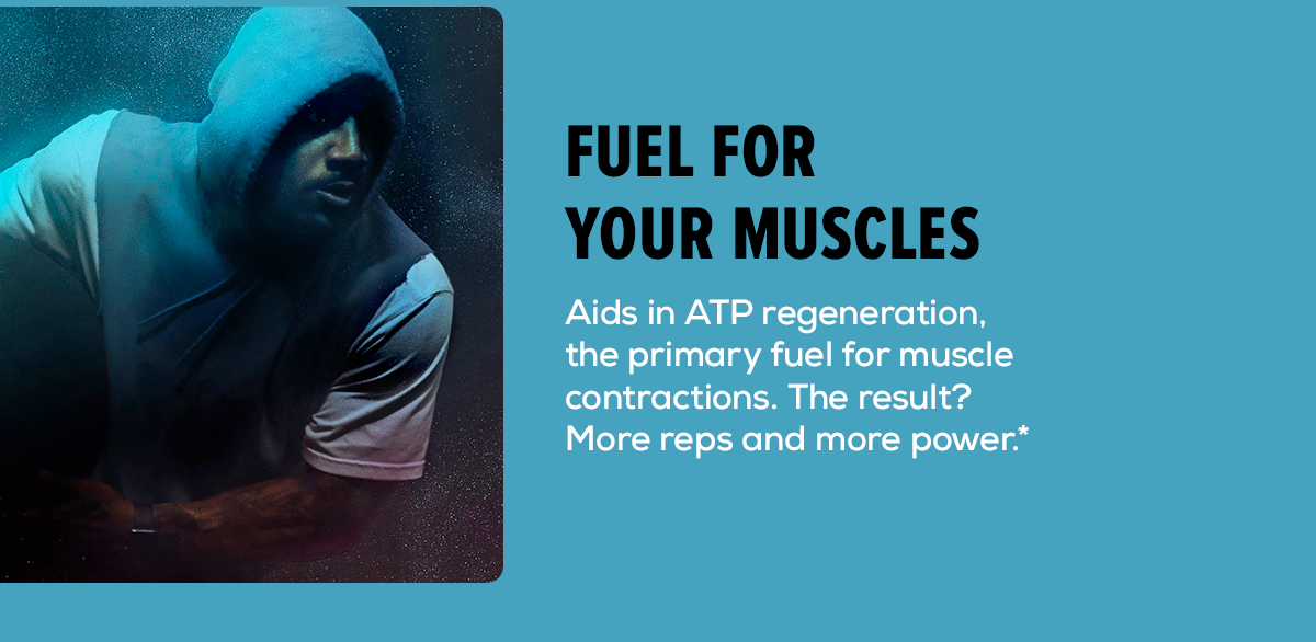 Fuel for your Muscles