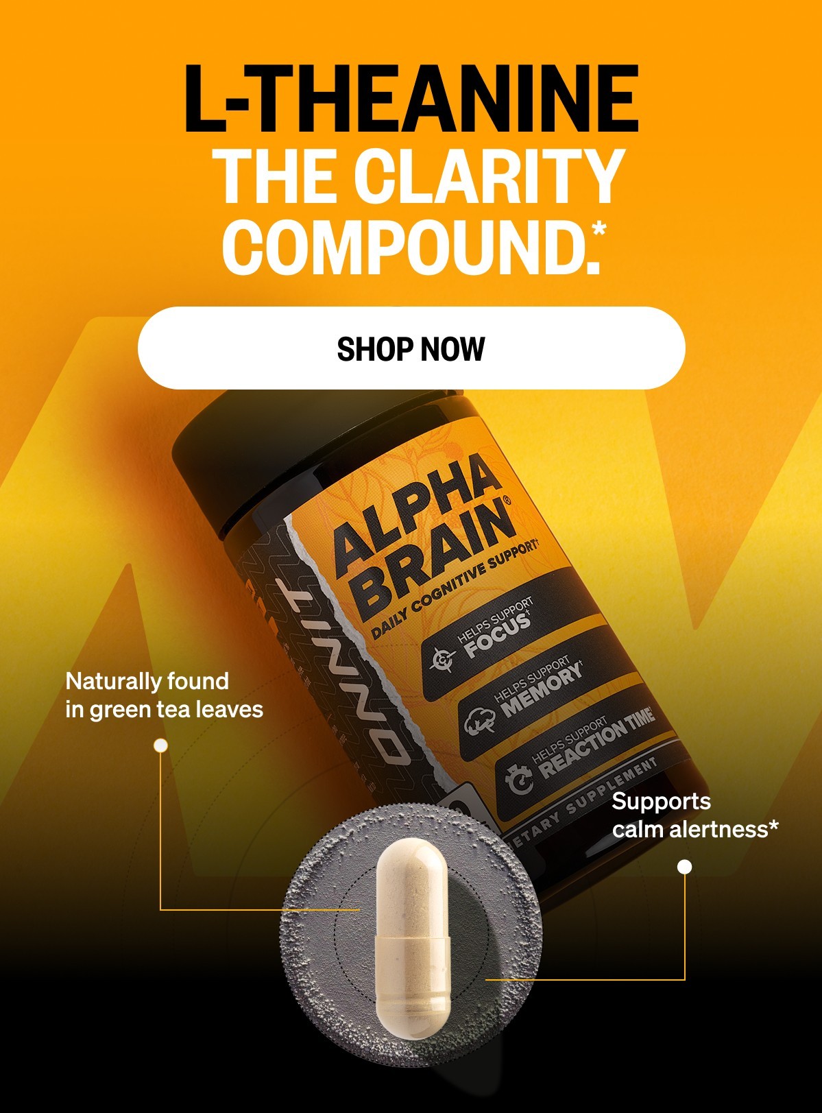 Alpha BRAIN®