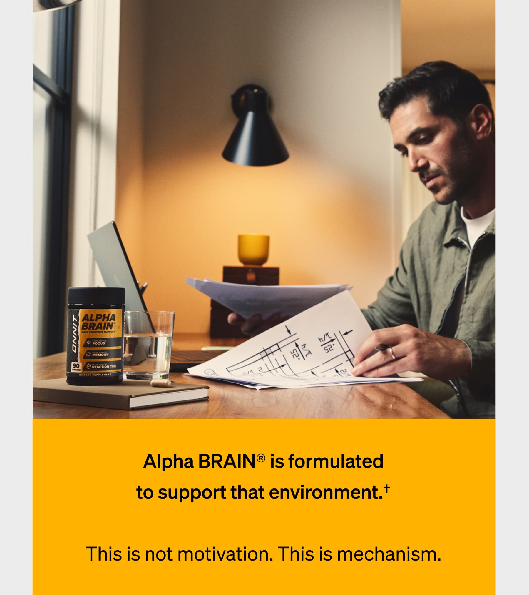 Alpha BRAIN® is formulated to support that environment.†  This is not motivation. This is mechanism.