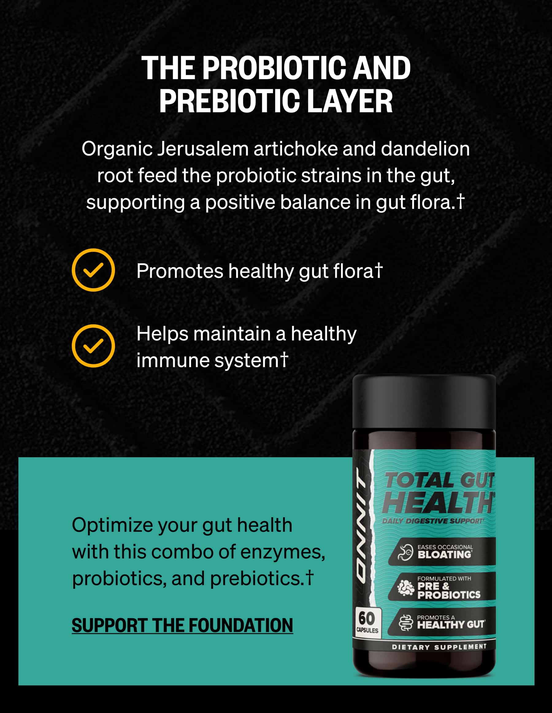 THE PROBIOTIC AND PREBIOTIC LAYER Organic Jerusalem artichoke and dandelion root feed the probiotic strains in the gut, supporting a positive balance in gut flora.† Promotes healthy gut flora† Helps maintain a healthy immune system† Optimize your gut health with this combo of enzymes, probiotics, and prebiotics.† SUPPORT THE FOUNDATION