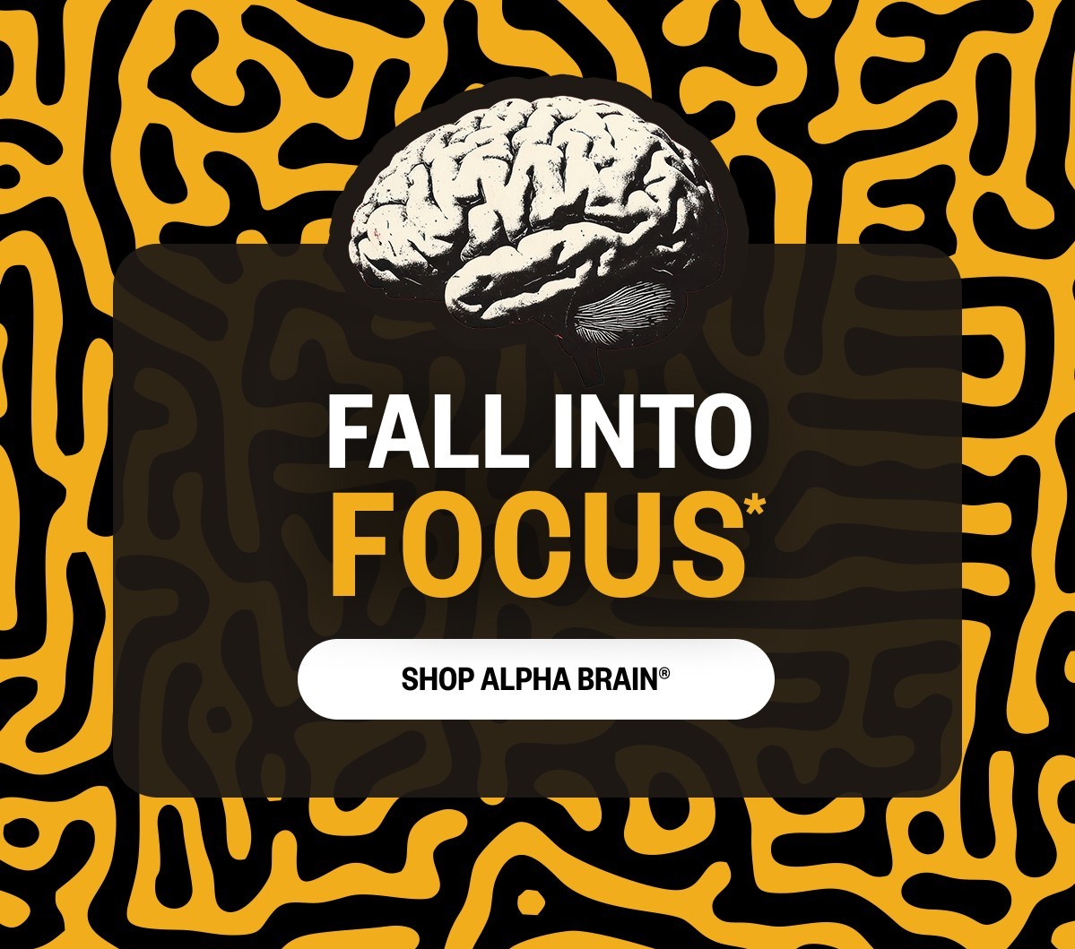 Fall Into Focus