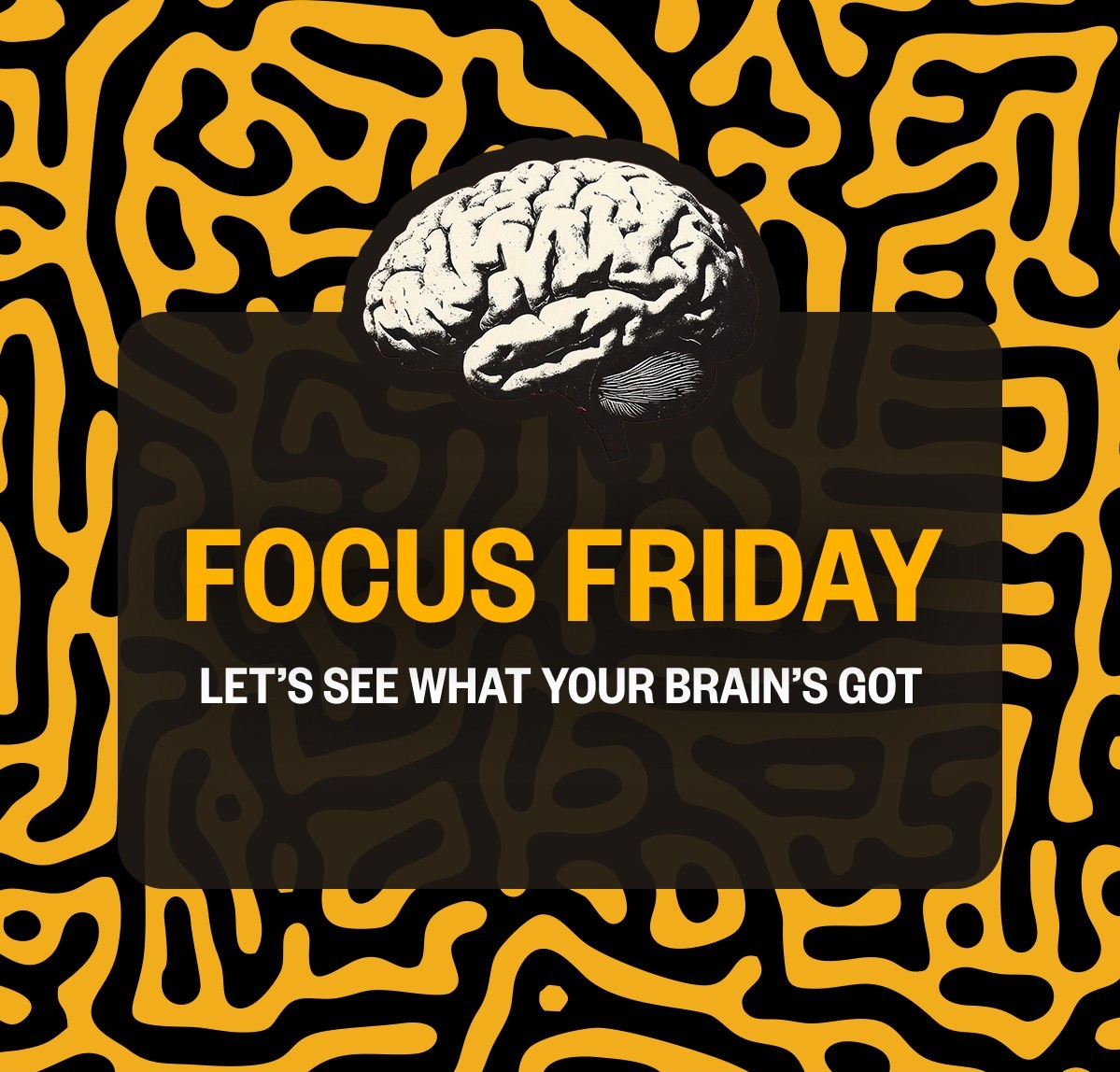 FOCUS FRIDAY