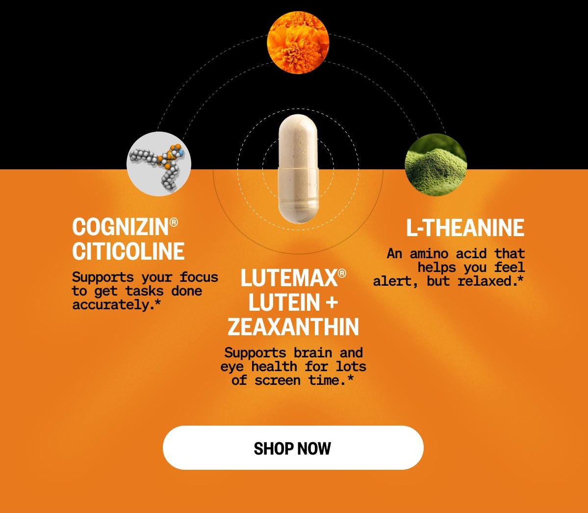 Shop Alpha BRAIN® Black Label