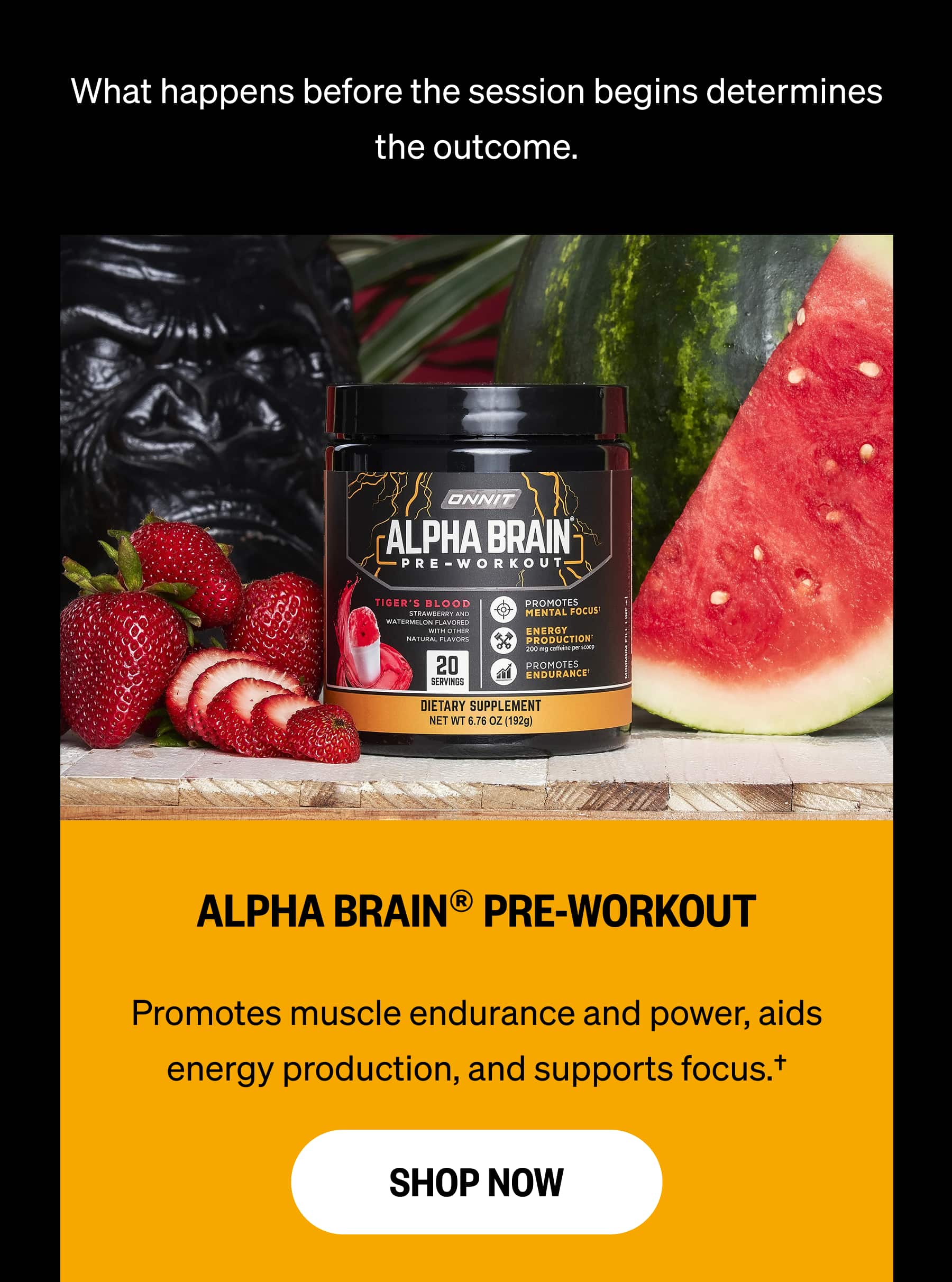 What happens before the session begins determines the outcome. ALPHA BRAIN® PRE-WORKOUT Promotes muscle endurance and power, aids energy production, and supports focus.† SHOP NOW
