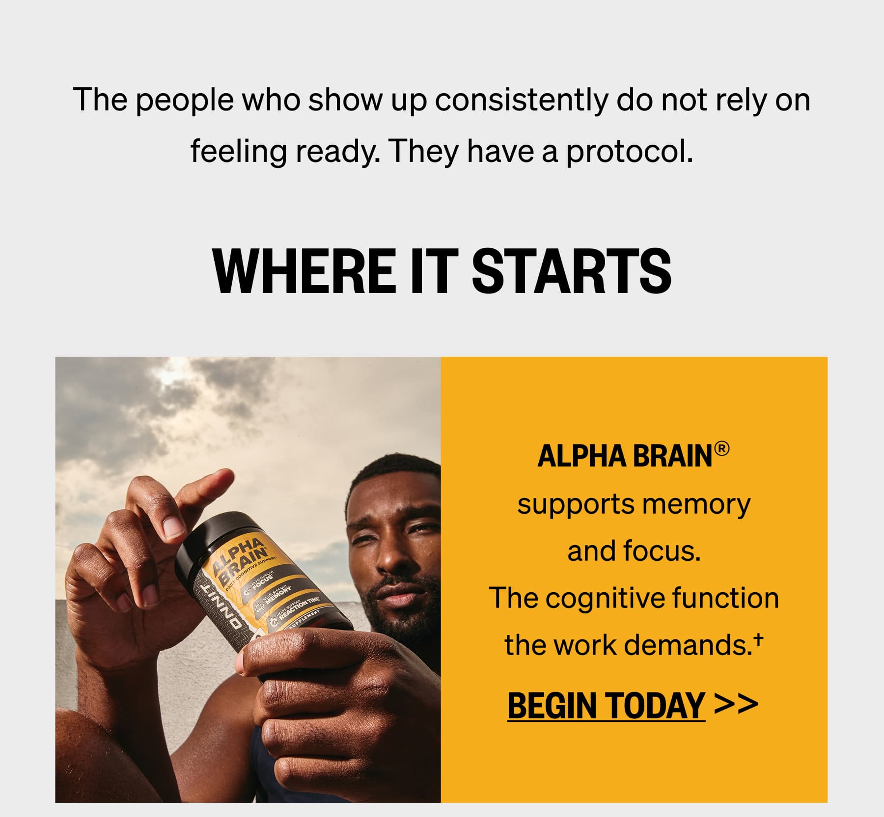 ALPHA BRAIN® supports memory and focus. The cognitive function the work demands.†